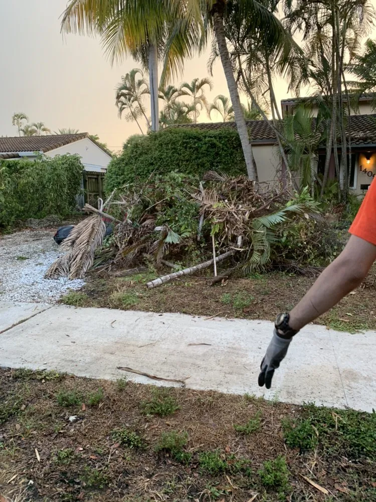 Reliable yard cleanup service for homes in Homestead, FL by Javes & W Tree Services
