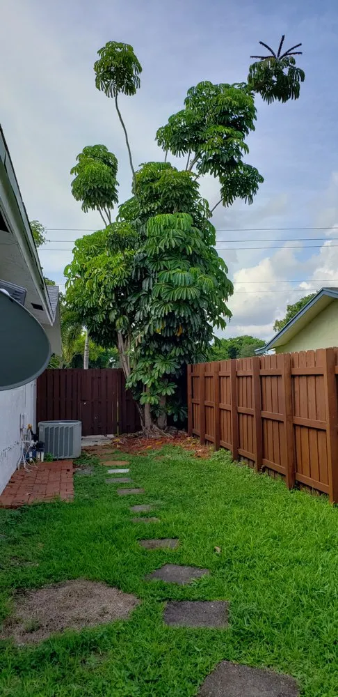 Expert landscaping services in Homestead, FL - Javes & W Tree Services