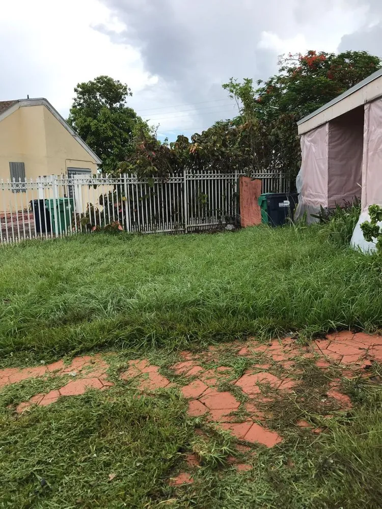 Professional outdoor landscaping in Homestead, FL - Javes & W Tree Services