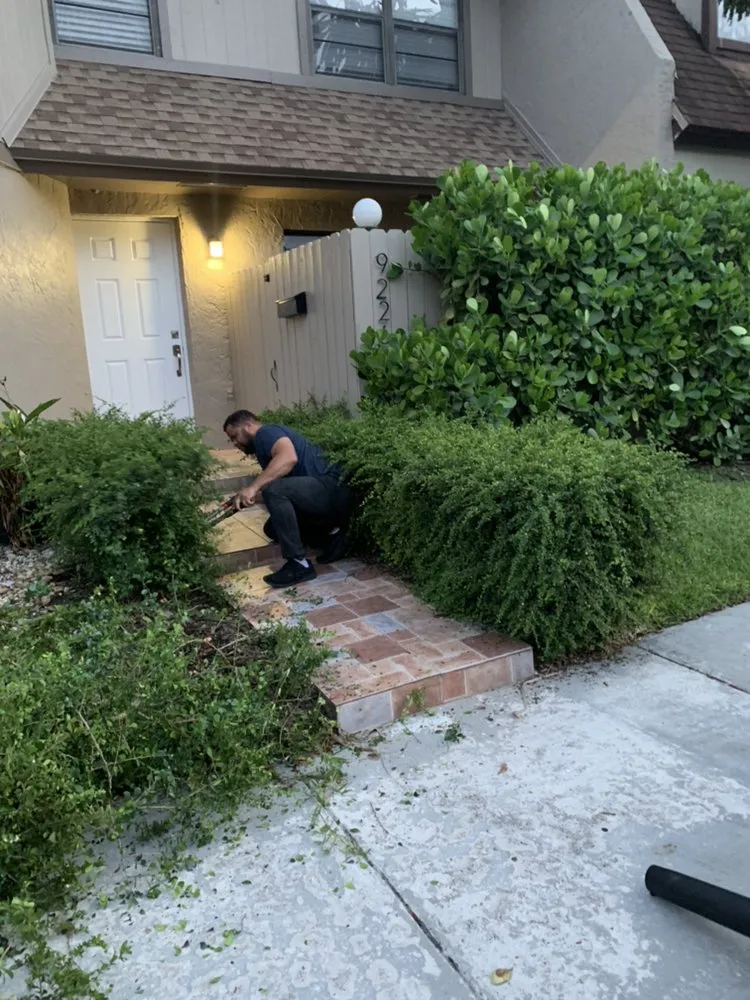 Local outdoor landscaping in Homestead, FL - Javes & W Tree Services
