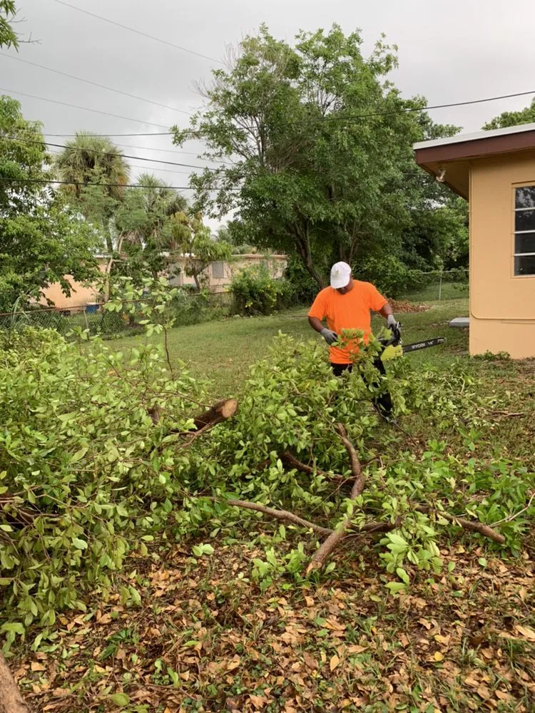 Expert garden landscaping experts serving Homestead, FL - Javes & W Tree Services