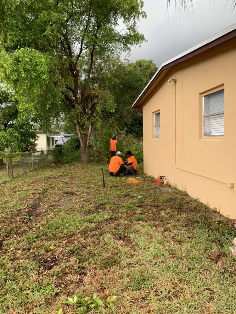 Reliable outdoor landscaping experts serving Homestead, FL - Javes & W Tree Services