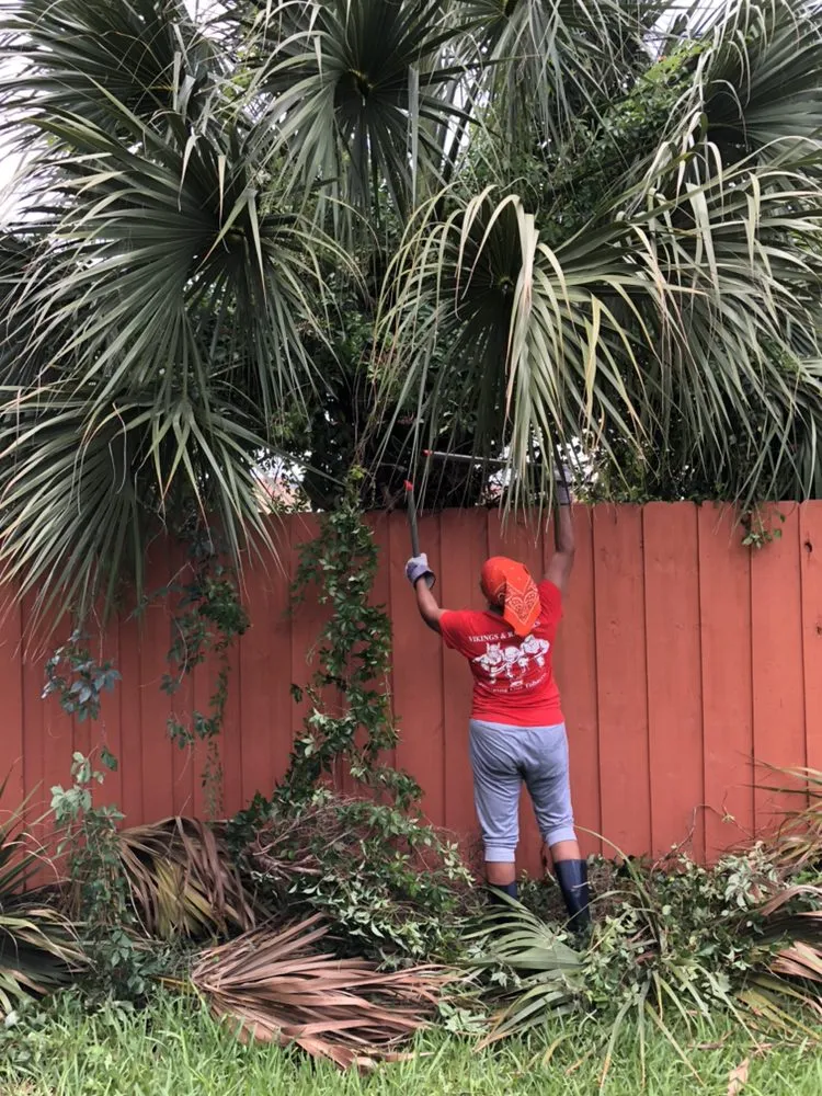 Custom landscaping services experts serving Homestead, FL - Javes & W Tree Services