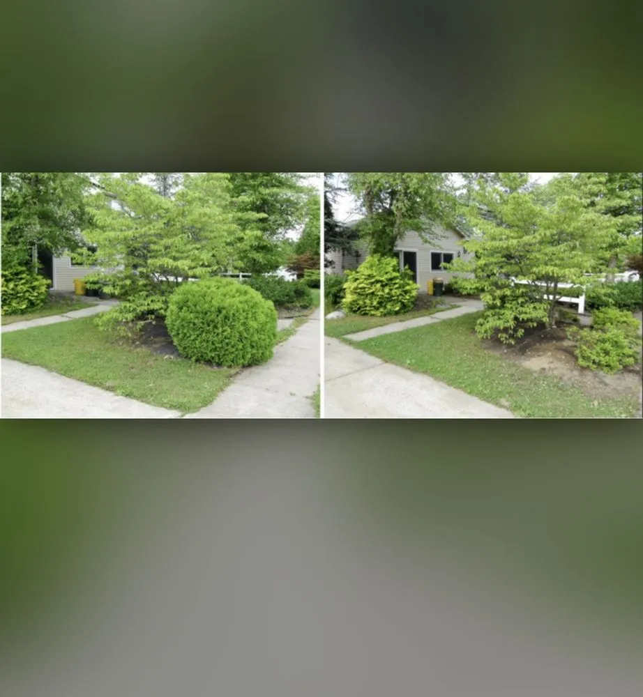 Professional garden landscaping with custom design across Homestead, FL - Javes & W Tree Services