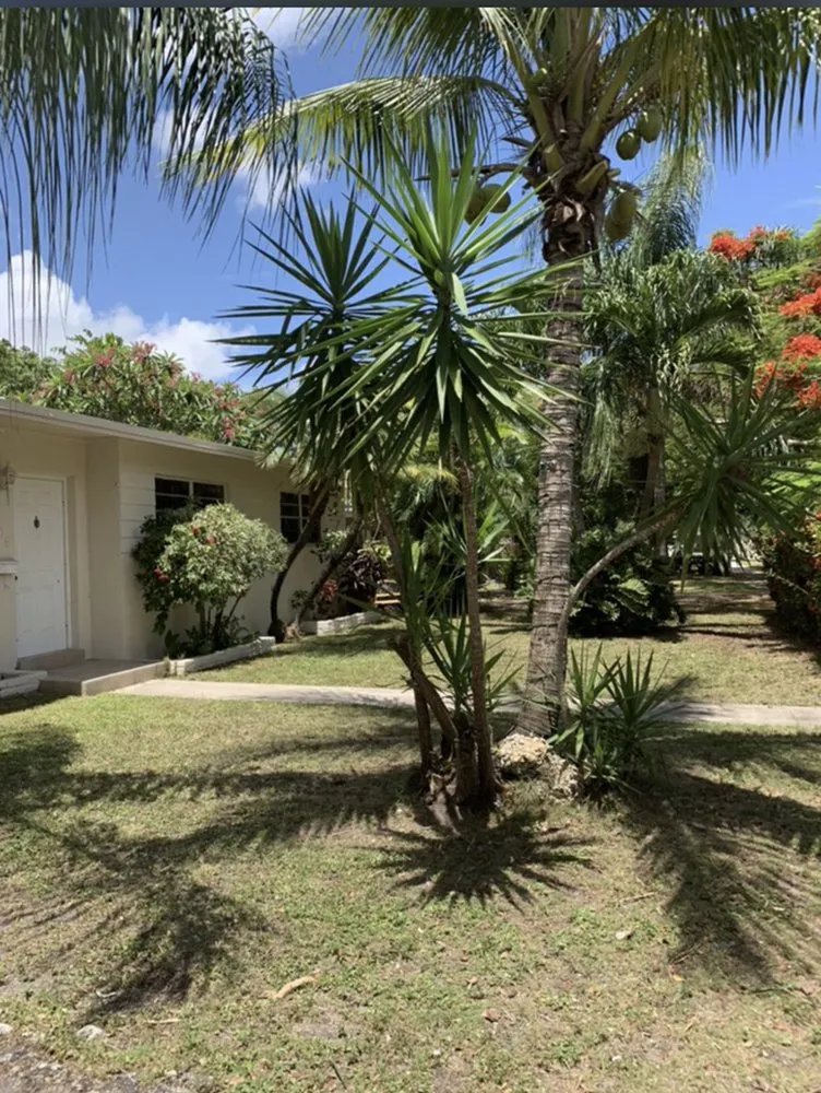 Custom landscape design in Homestead, FL - Javes & W Tree Services