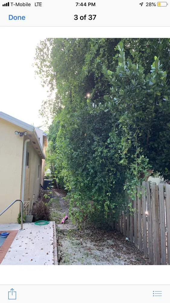 Top-rated lawn care service in Homestead, FL - Javes & W Tree Services