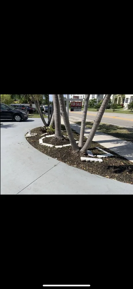 Professional landscape design near you across Homestead, FL - Javes & W Tree Services