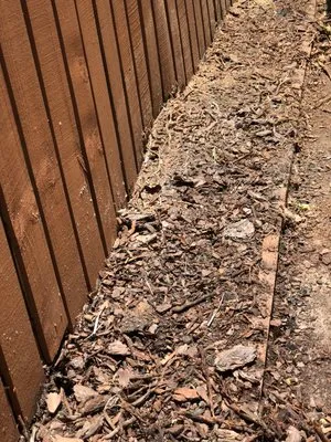 Javes & W Tree Services Logo