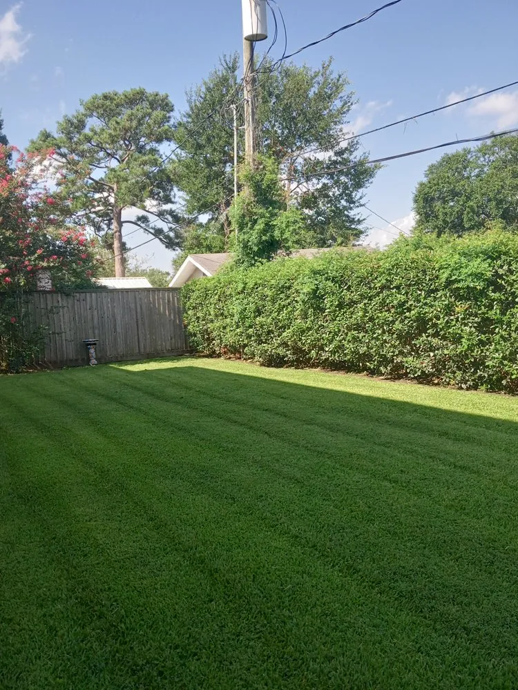 Trusted landscaping services for year-round maintenance across Cypress, TX - Javi Green Landscaping Service