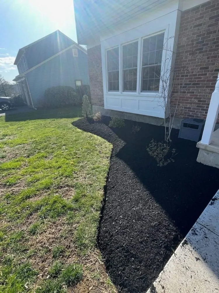 Local yard maintenance in Newport, DE by Javi Landscaping