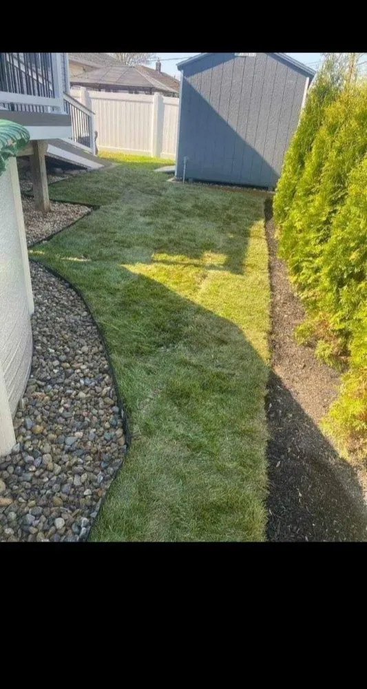 Top-rated yard cleanup service for year-round maintenance in Newport, DE by Javi Landscaping