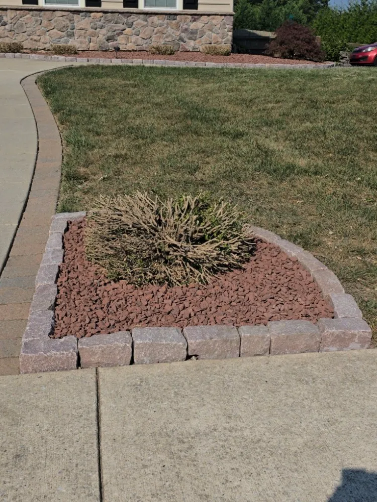 Top-rated landscaping services experts serving Newport, DE - Javi Landscaping