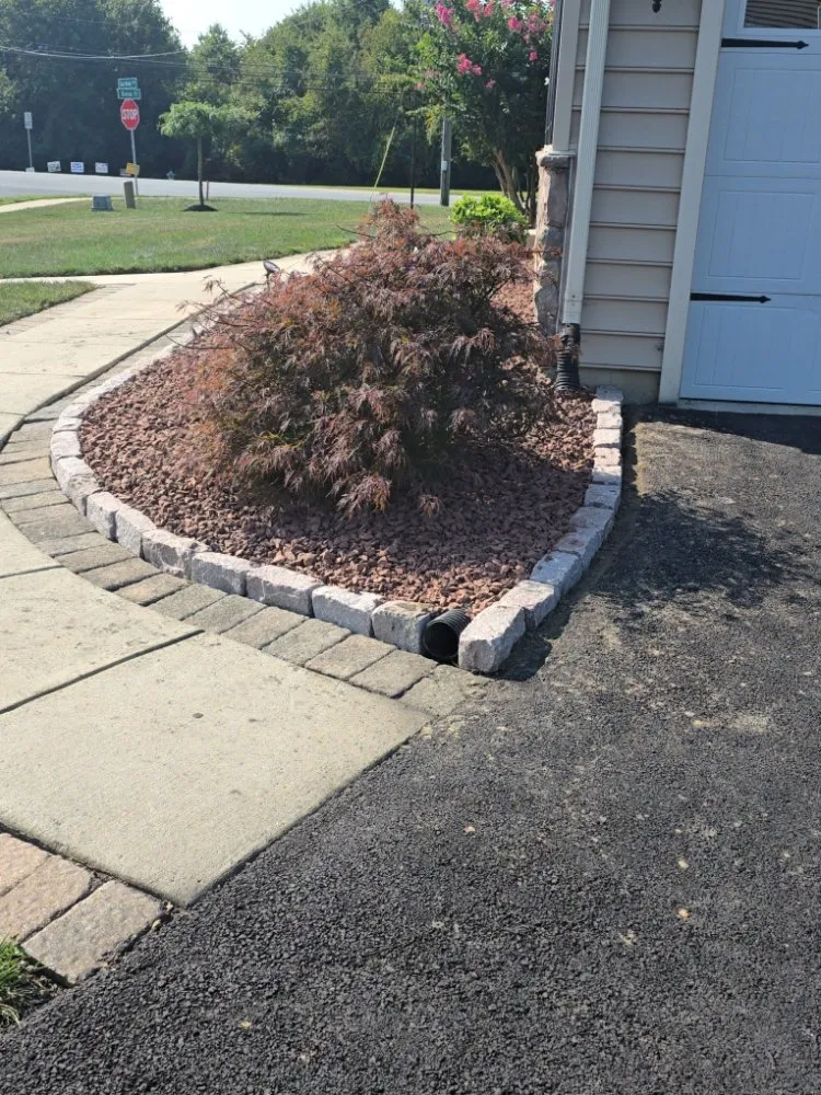 Professional yard cleanup service experts serving Newport, DE - Javi Landscaping
