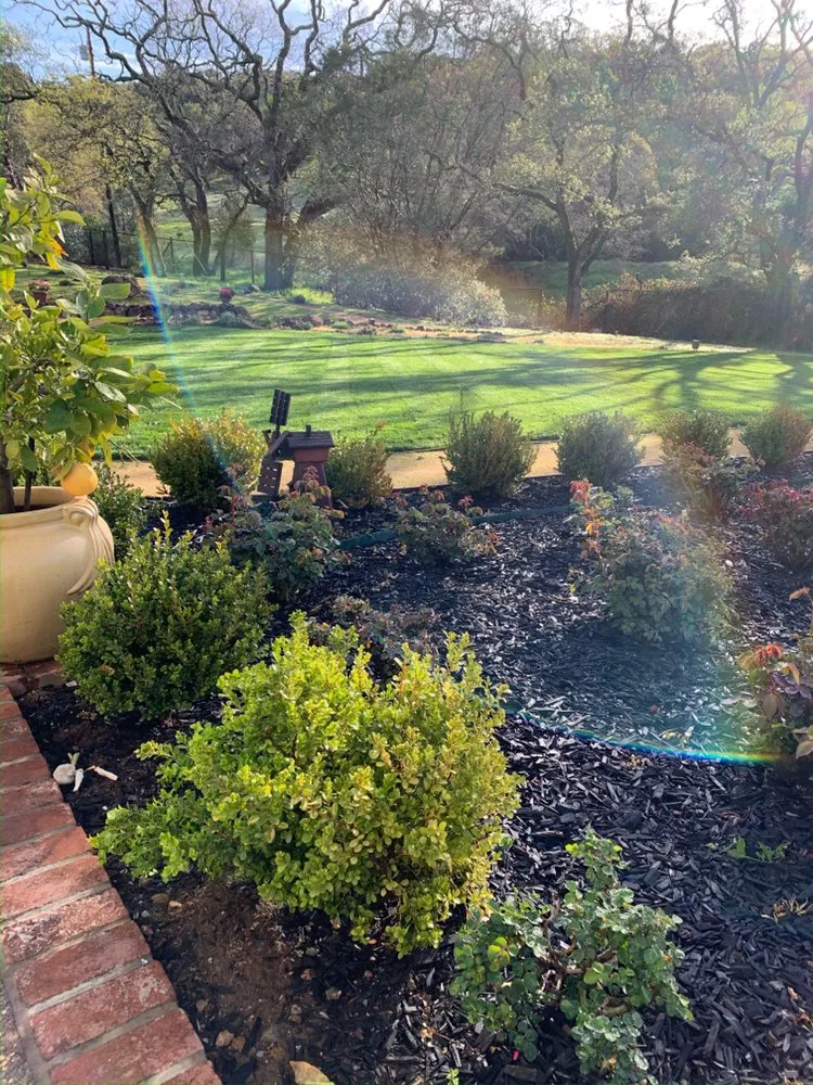 Expert residential landscaping in Fairfield, CA by Javier Landscape