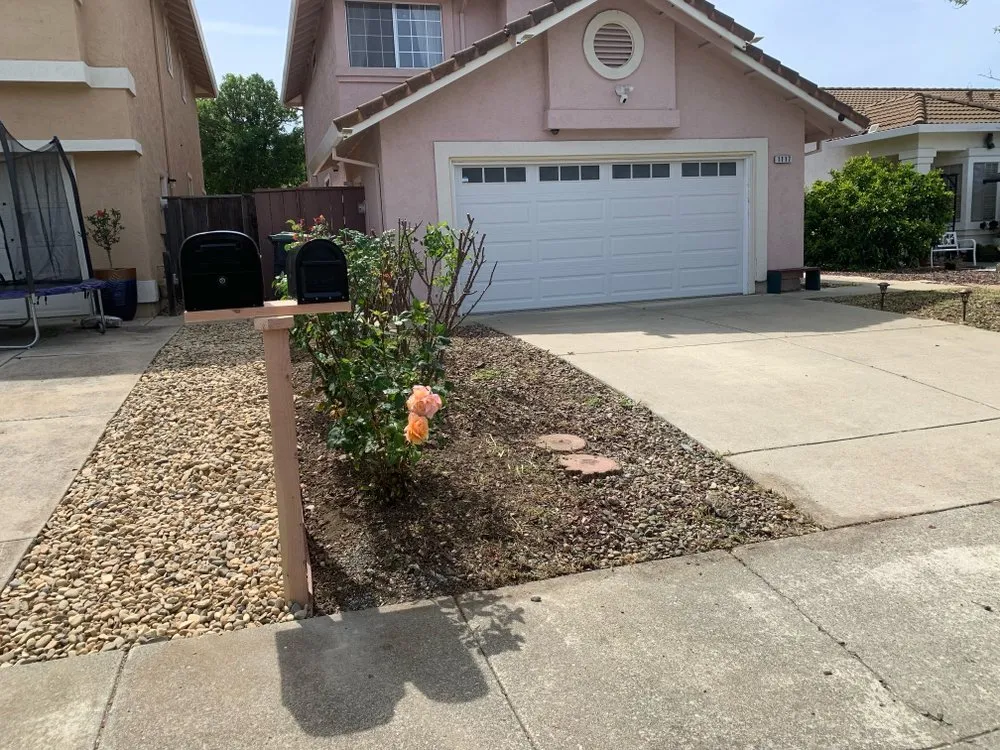 Professional yard maintenance in Fairfield, CA by Javier Landscape