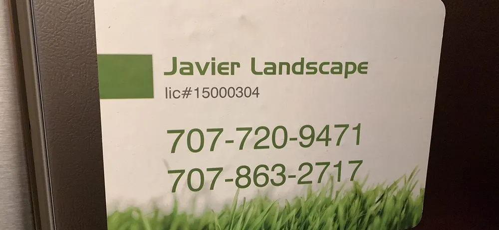 Professional yard cleanup service with custom design across Fairfield, CA - Javier Landscape
