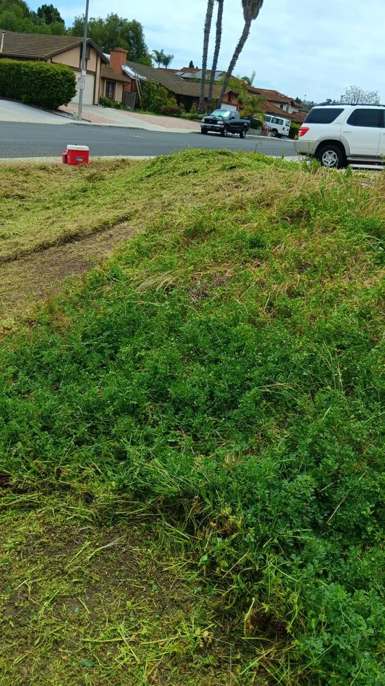 Top-rated residential landscaping for year-round maintenance in Camp Pendleton North, CA by Javier Landscaping Cutting Trees Consction Cleaning