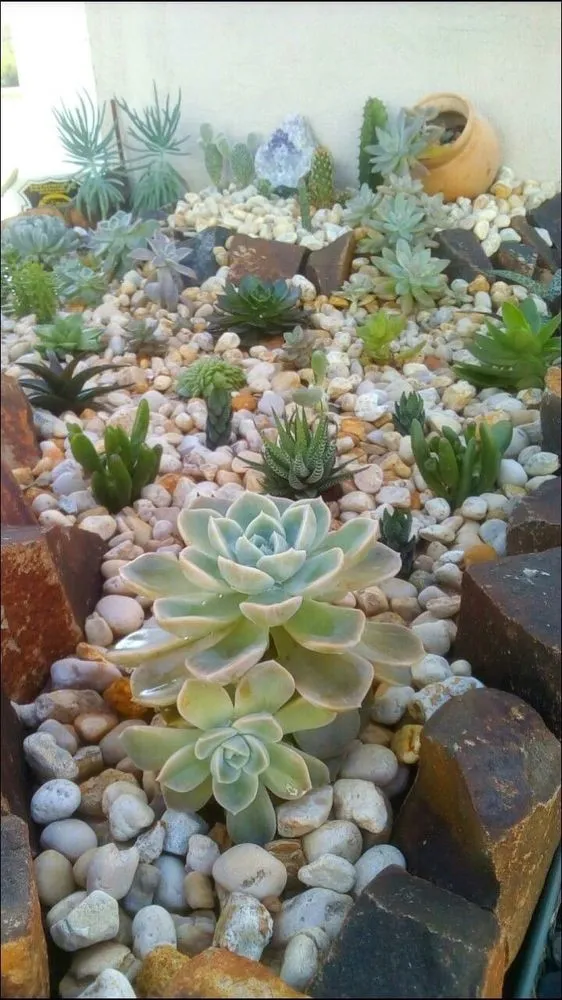 Affordable landscaping services for outdoor upgrades across Camp Pendleton North, CA - Javier Landscaping Cutting Trees Consction Cleaning