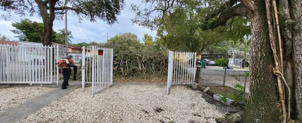 Affordable outdoor landscaping in Miami, FL - Javier Landscaping