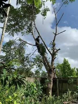 Reliable residential landscaping experts serving Miami, FL - Javier Landscaping