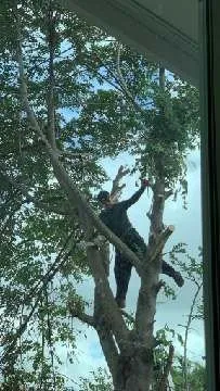 Local yard maintenance for outdoor upgrades in Miami, FL by Javier Landscaping