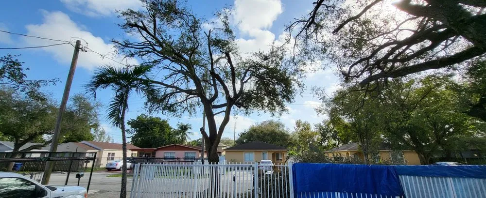 Affordable yard cleanup service for residential properties in Miami, FL by Javier Landscaping