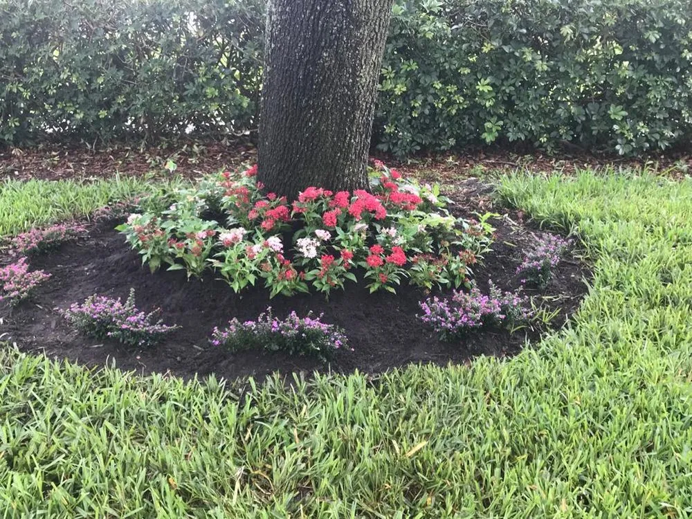 Professional landscape installation experts serving Miami, FL - Javier Landscaping