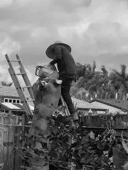 Custom outdoor landscaping in Miami, FL by Javier Landscaping