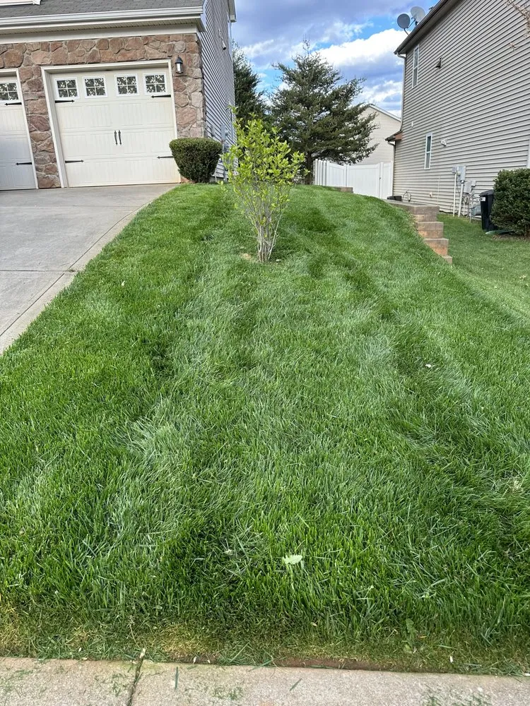 Affordable garden landscaping experts serving Charlotte, NC - Javier Lawnscape