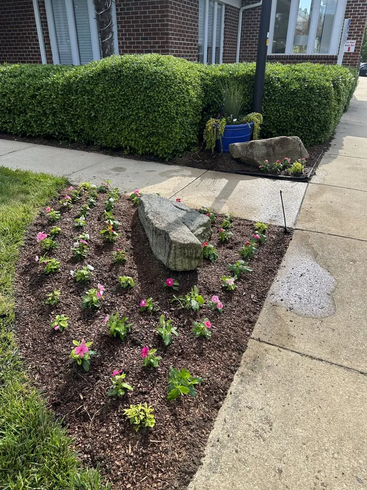 Affordable landscaping services for beautiful yards in Charlotte, NC by Javier Lawnscape