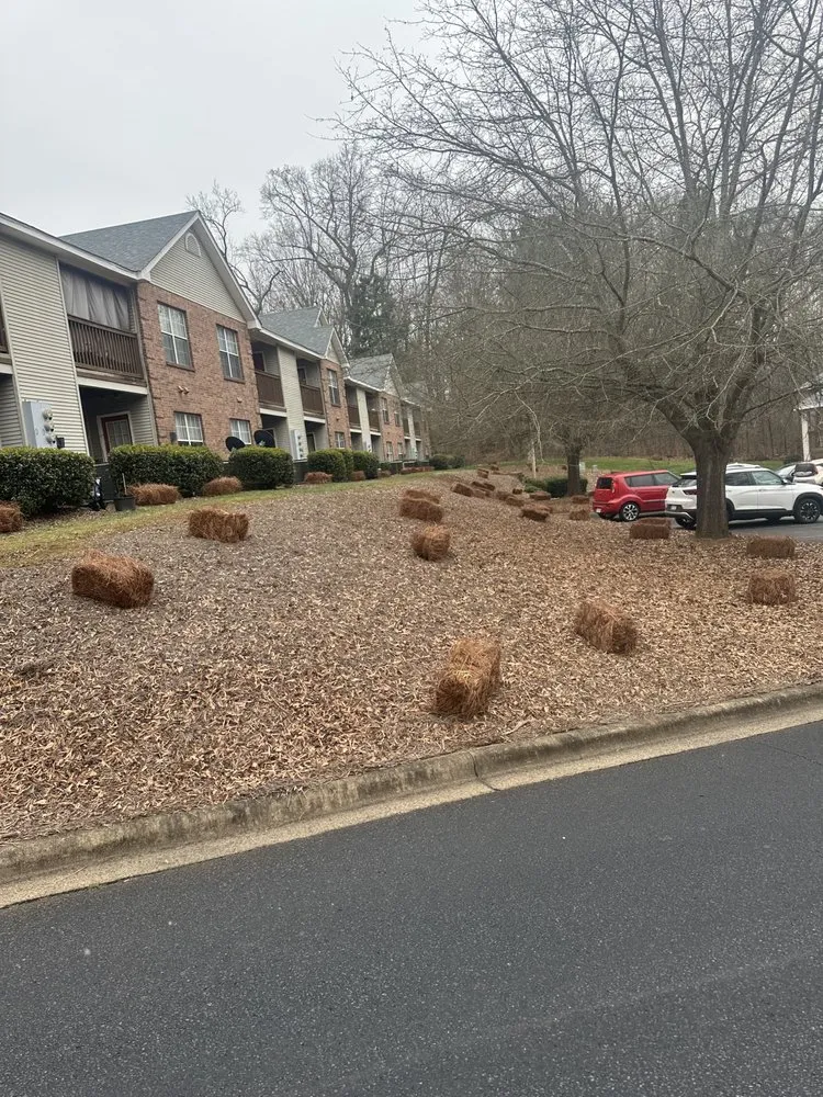 Custom landscape installation near you across Charlotte, NC - Javier Lawnscape