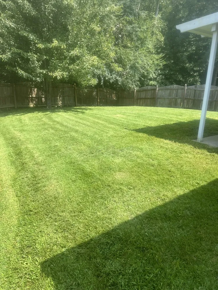 Trusted lawn care service experts serving Charlotte, NC - Javier Lawnscape