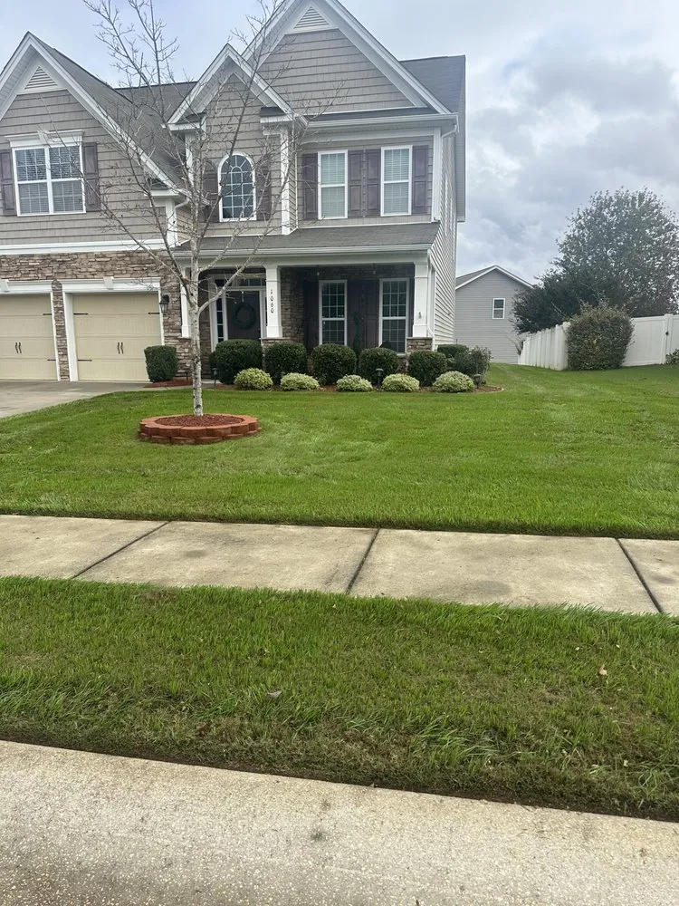 Expert lawn care service in Charlotte, NC - Javier Lawnscape