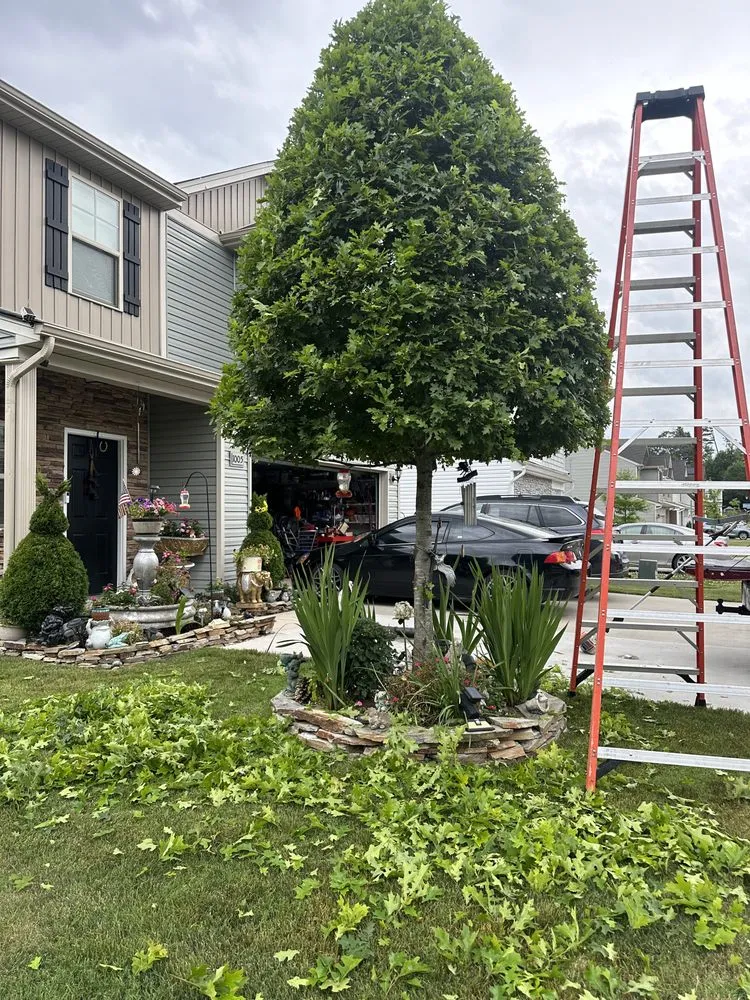 Reliable lawn care service with custom design across Charlotte, NC - Javier Lawnscape