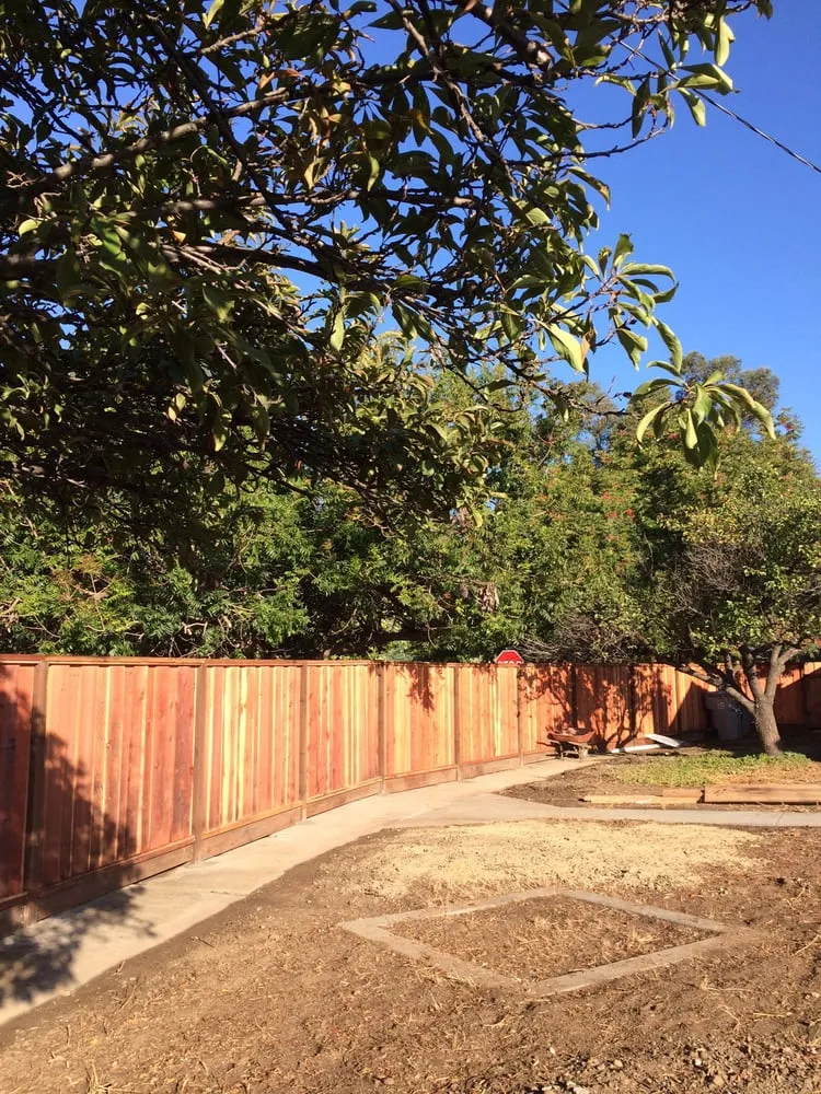 Custom outdoor landscaping in Santa Clara, CA by Javier Luna Landscaping