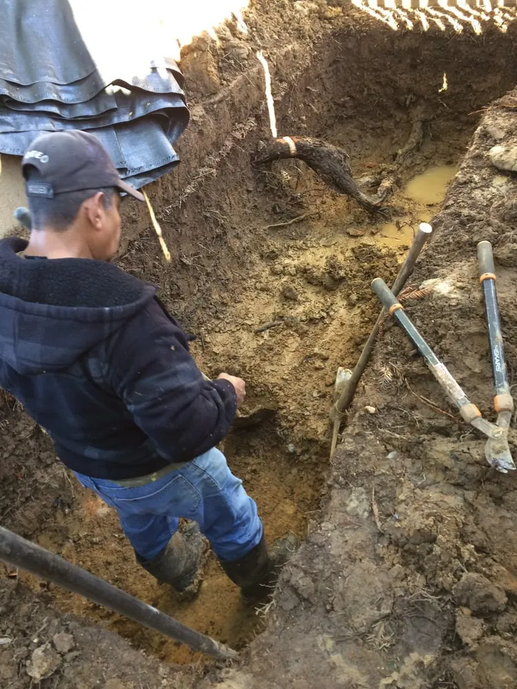 Trusted yard maintenance in Santa Clara, CA by Javier Luna Landscaping