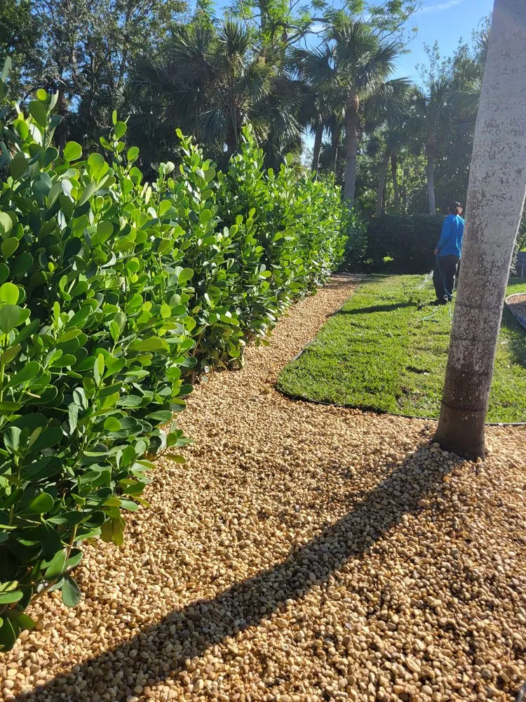 Expert lawn mowing service experts serving North Port, FL - Javier martinez tree service