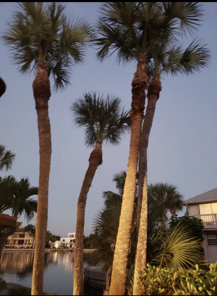 Local yard maintenance experts serving North Port, FL - Javier martinez tree service