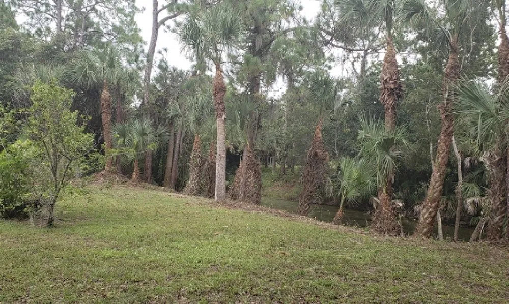 Professional landscaping services with custom design across North Port, FL - Javier martinez tree service