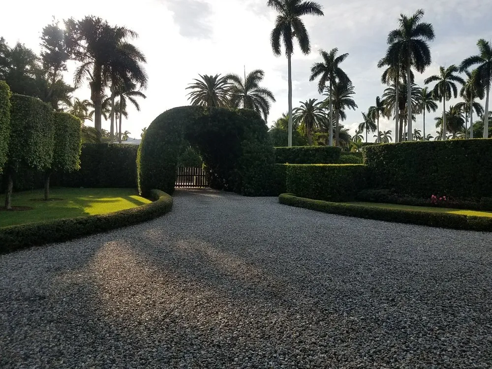 Expert yard cleanup service near you in Miami, FL by Javier Perdomo