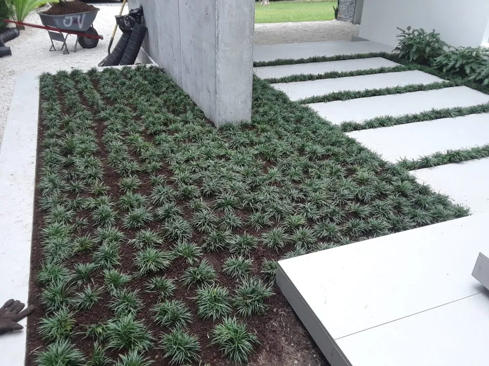 Professional residential landscaping for homes in Miami, FL by Javier Perdomo