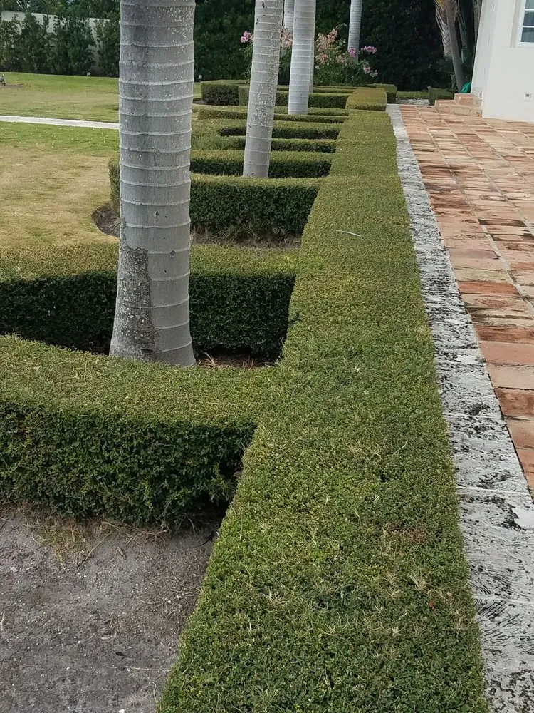 Reliable landscape installation for outdoor upgrades in Miami, FL by Javier Perdomo