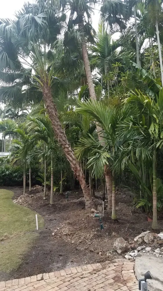 Local lawn care service for residential properties across Miami, FL - Javier Perdomo