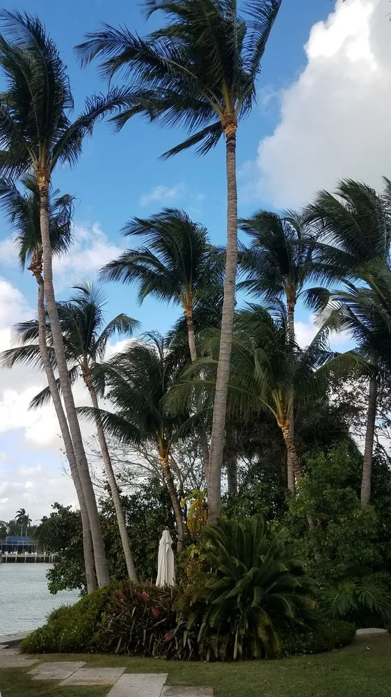 Affordable lawn mowing service experts serving Miami, FL - Javier Perdomo