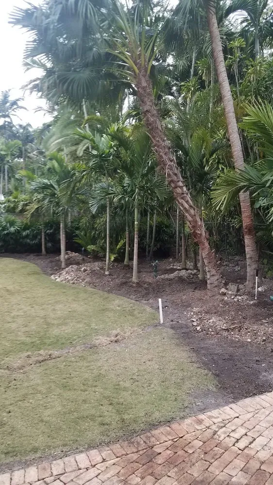 Expert landscaping services in Miami, FL - Javier Perdomo