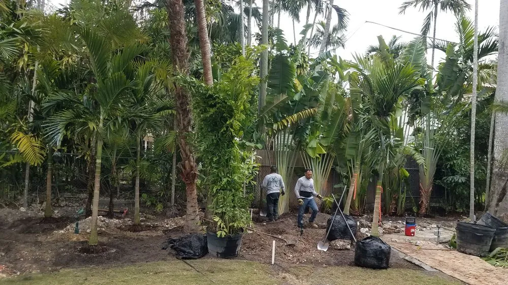 Expert lawn mowing service in Miami, FL - Javier Perdomo