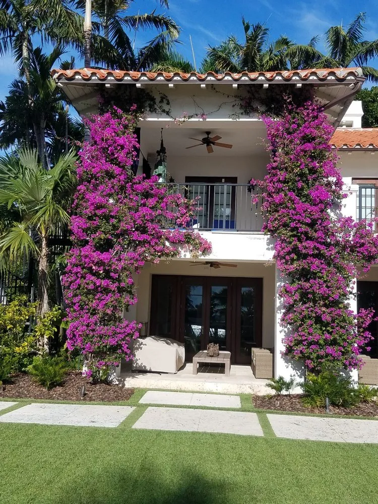 Professional landscape design in Miami, FL - Javier Perdomo