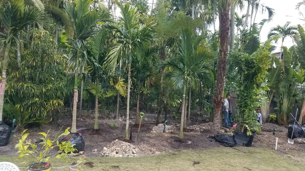 Trusted lawn mowing service for beautiful yards across Miami, FL - Javier Perdomo