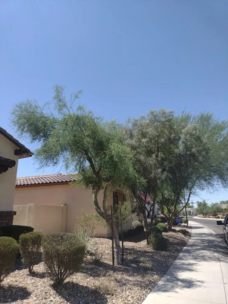 Professional residential landscaping near you in Tolleson, AZ by Javier Services