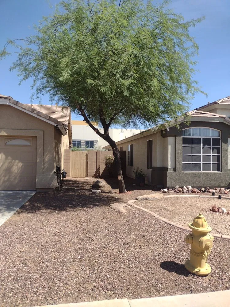 Trusted lawn mowing service for homes across Tolleson, AZ - Javier Services